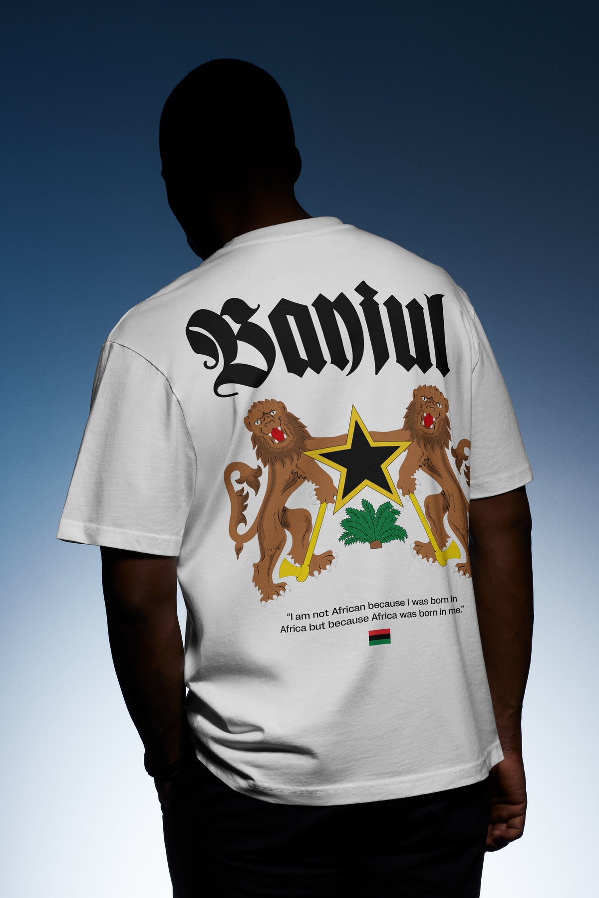 The New Vanguard Tee: Banjul